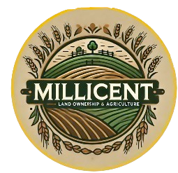 Millicent Logo